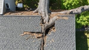 Structural