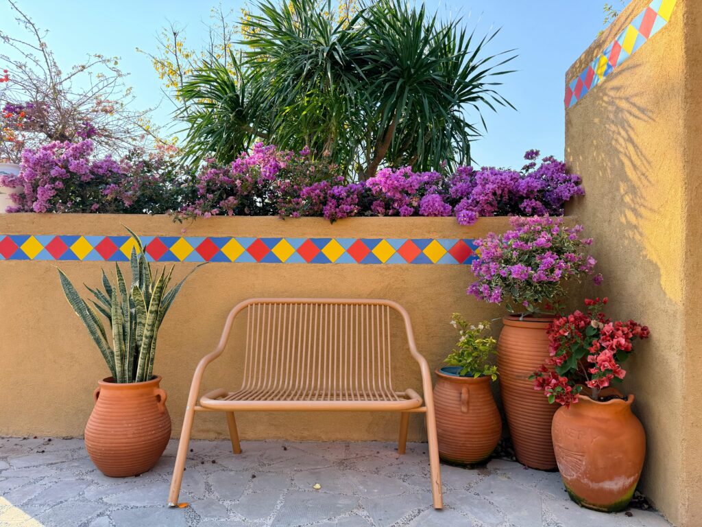 pexels 2154236762 35527908 pexels 2154236762 35527908