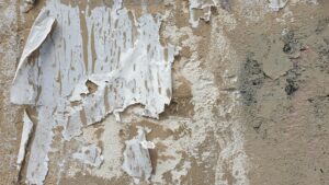 mold