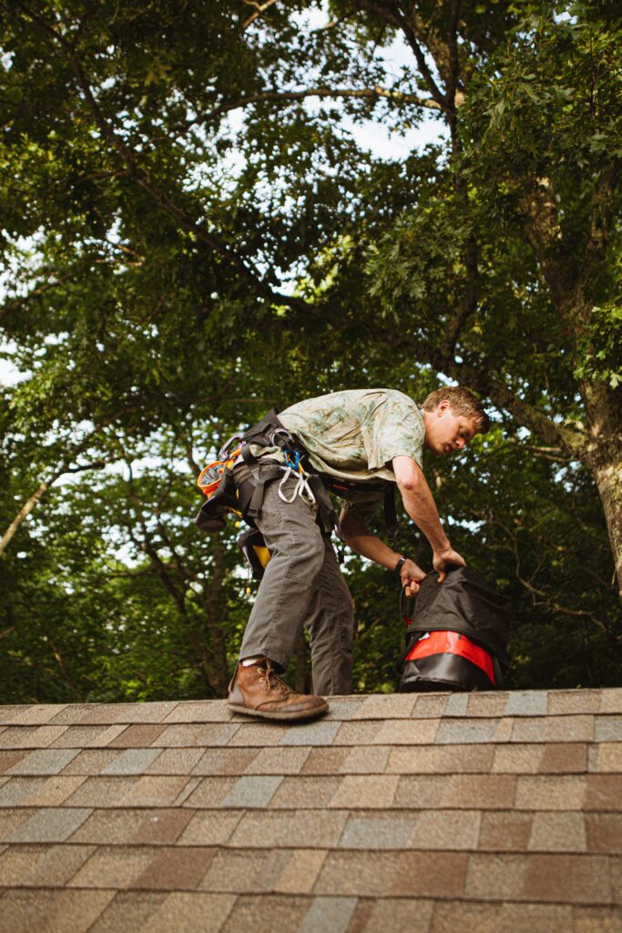 Roof Cost